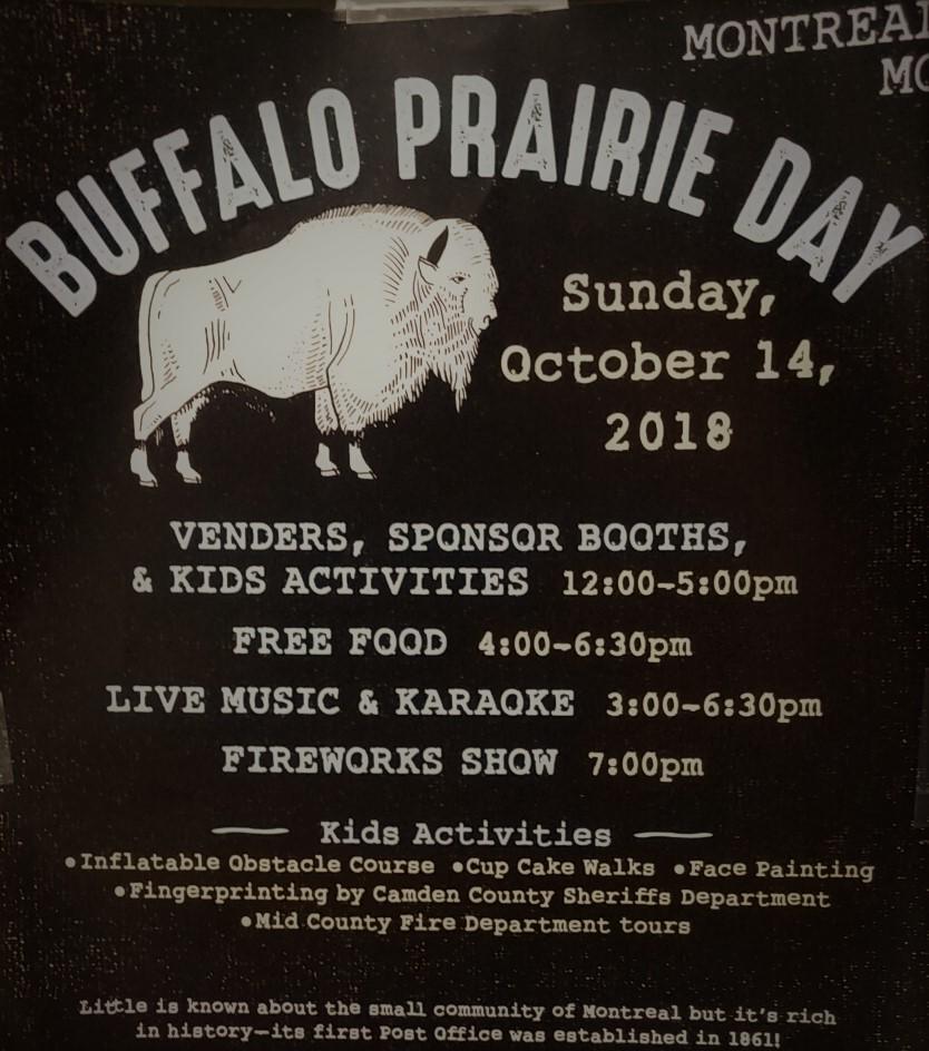 Buffalo Prairie Day.jpeg