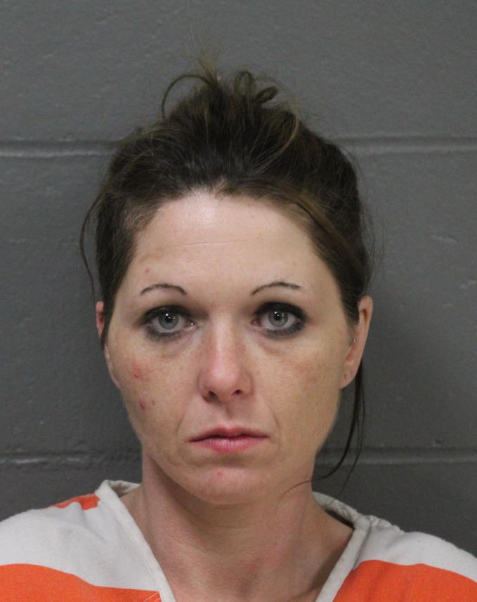 Danielle Wilson mugshot.