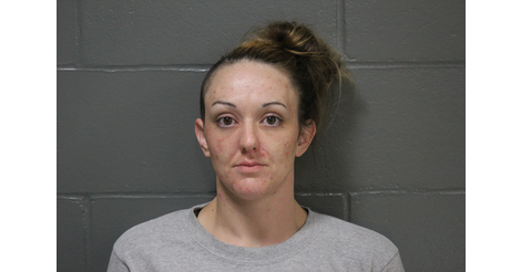 missouri camden county arrest