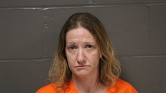 Mugshot of Johnson, Anna Marie 